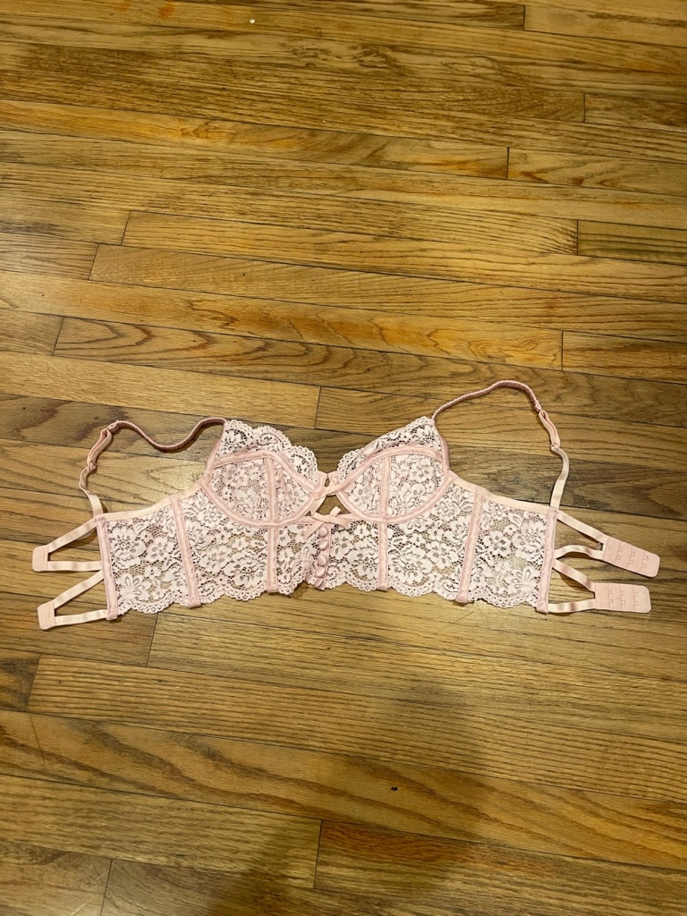 For Love & Lemons Blush Lace Longline Underwire Bra